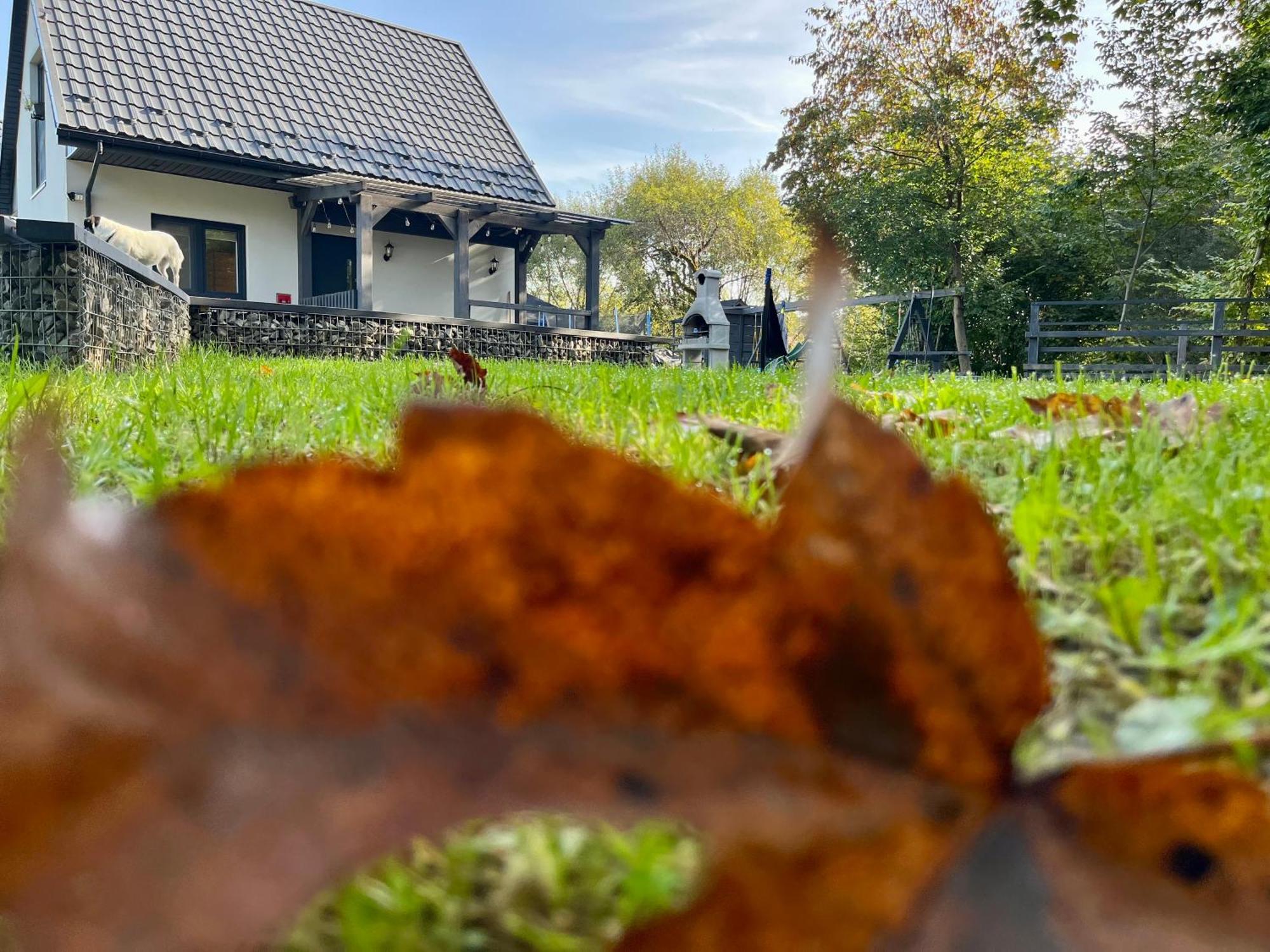 Domki Nad Starym Potokiem Ustrzyki Dolne Exteriér fotografie